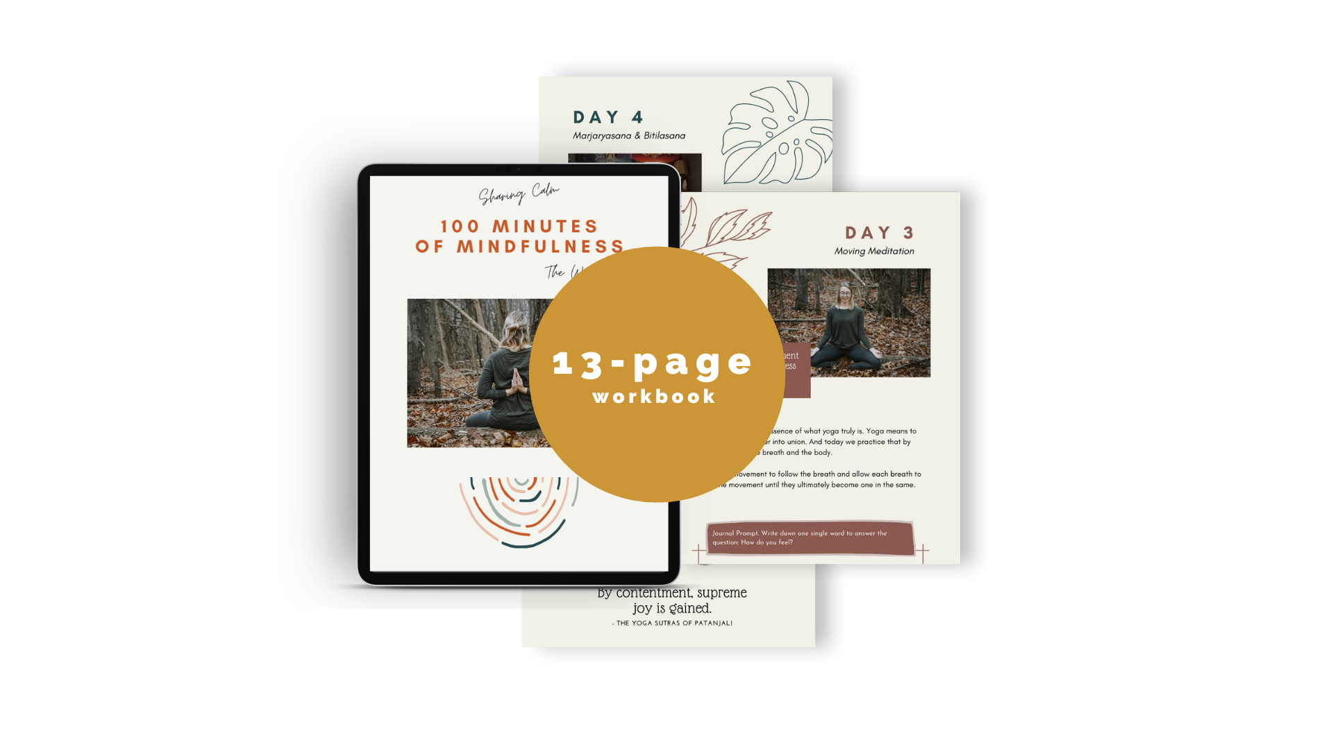 100 Minutes of Mindfulness Workbook Mockup
